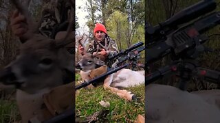 Whitetail Buck Down!