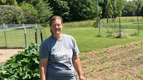 Our plants are going crazy and a built chicken coop by a design