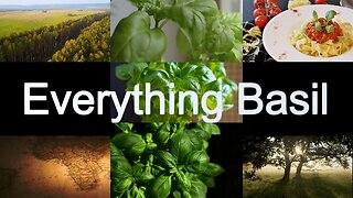 Everything Basil