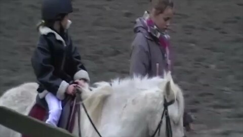 Horse riding lessons in Brighton.