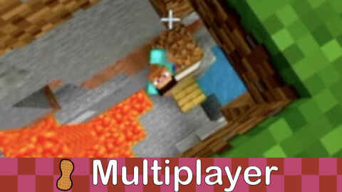 Multiplayer: Minecraft