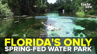 Weeki Wachee Springs is a magical state park in Florida | Taste and See Tampa Bay