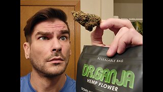 Grape Stomper THCA Cannabis Review (Dr Ganja)