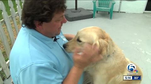 Therapy Dogs Coming To The Rescue In Vegas