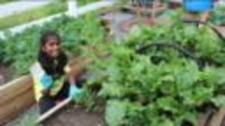 Local girl scout busy earning badges during pandemic