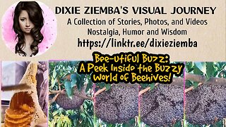 Bee-utiful Buzz: A Peek Inside the Buzzy World of Beehives!