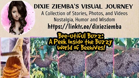 Bee-utiful Buzz: A Peek Inside the Buzzy World of Beehives!