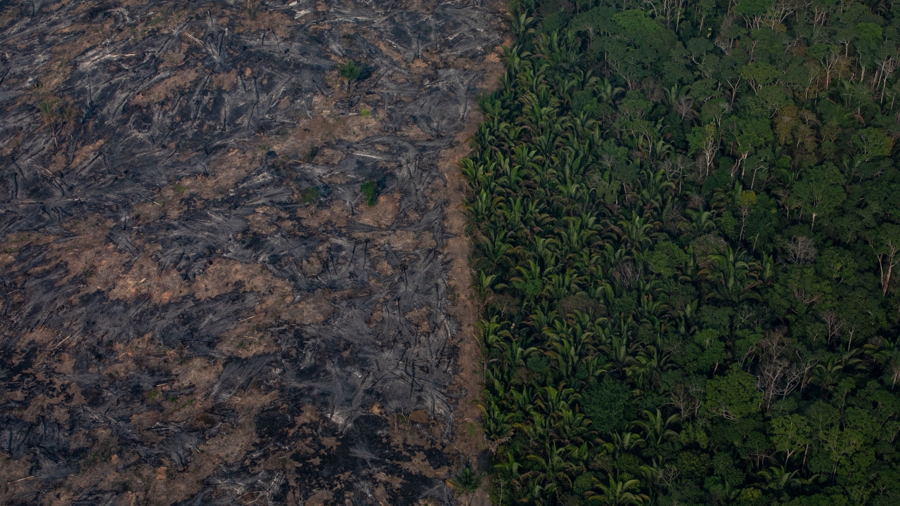 Brazil's Space Agency Reports Soaring Rates Of Rainforest Destruction