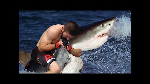 The moment the shark realised Khabib would win