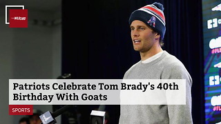 Patriots Celebrate Tom Brady's 40th Birthday With Goats