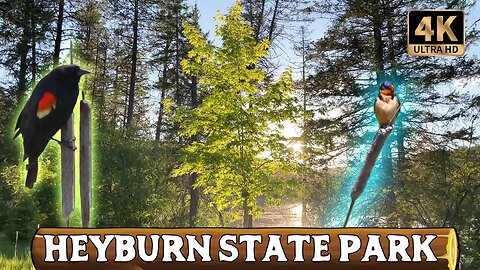 Exploring Heyburn State Park [4K Ultra HD]