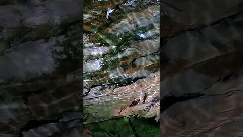 🚿ROCKY RIPPLES GO CHECK OUT THE VIDEO! #waterart #visualart #water #visual #rockart #visuals #ripple