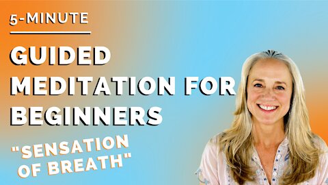 5 Minute Guided Meditation for Beginners | "Sensation of Breath" | [3 of 20]