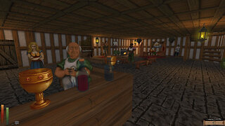 Daggerfall Unity: Even the Bar Flies hate me?