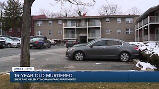 16-year-old shot and killed/New task force