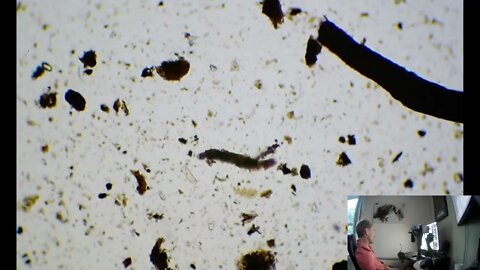 Soil Under the Microscope Live Stream 6-21-22