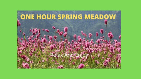 One Hour Spring Meadow (Benefits Of Relaxation)