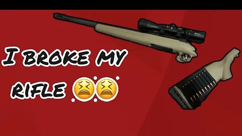 Savage Axis .308 | Boyd’s Stock Replacement