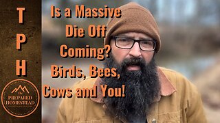 Is a Massive Die Off Coming? Birds, Bees, Cow and You?