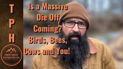 Is a Massive Die Off Coming? Birds, Bees, Cow and You?