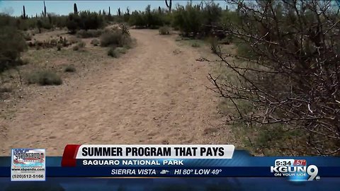 Job opportunity for teens at Saguaro National Park