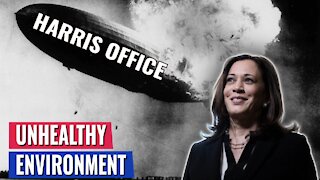 AMERICAN HORROR STORY: BOMBSHELL REPORT ABOUT WORKING FOR KAMALA HARRIS