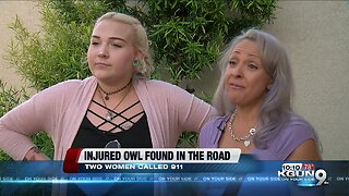 Women stop to help injured owl in the road