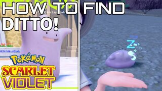 How to Find Ditto in Pokemon Scarlet and Violet (Ditto's Location)