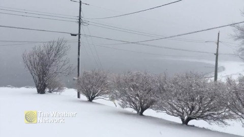 Snowy day reduces visibility in Birchy Bay, Nfld.