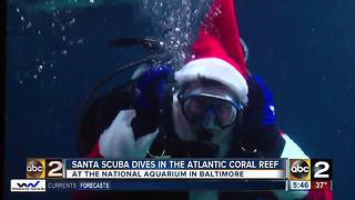 Santa scuba dives in the atlantic coral reef