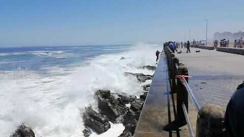 SOUTH AFRICA - Cape Town - Sea Point Drowning Search Continues (Video) (tTx)