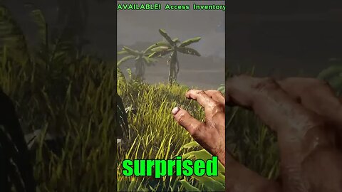 Learning Spanish in Ark Server