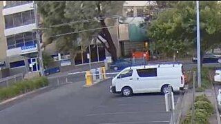 Driver has a close escape with a falling tree in Australia