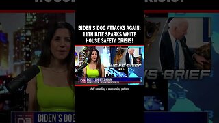 Biden's dog, Commander, bites again, marking 11th attack on staff