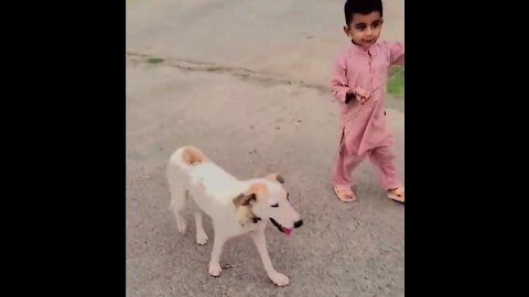 Dog playing with cute little kid.