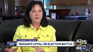 Michelle Reagan facing uphill re-election battle