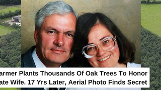 Farmer Plants Thousands of Oak Trees to Honor Late Wife. Seventeen Years Later, Aerial Photo Finds Secret