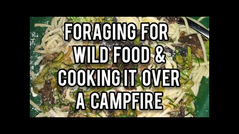 Foraging for Wild Food and Cooking it Over a Campfire! - Ann's Tiny Life