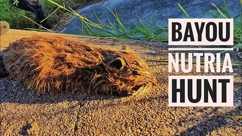 Texas Nutria Hunting! - Cleaning and Hide Tanning
