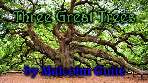 The Three Great Trees by Malcolm Guite