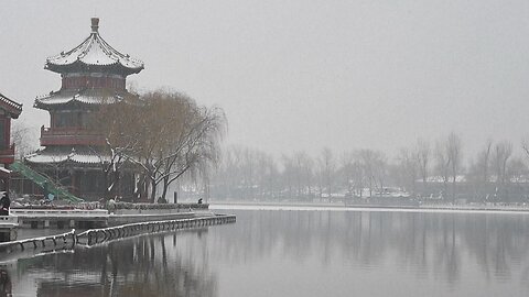 Winter swimmers and pandas enjoy Beijing's snowy weather