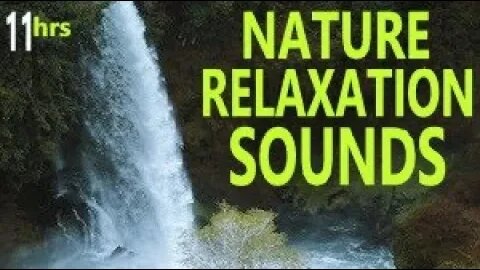 Relaxing Nature Waterfall Stream River Bird Sounds for Instant Sleep Study & Meditation