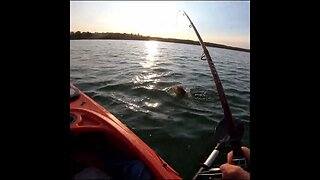 Bass fishing in Michigan
