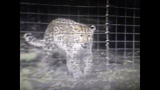 Pittsburgh Zoo 2004