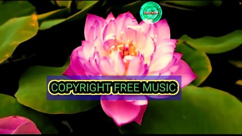 ll Copyright free background music for youtube content creators ll