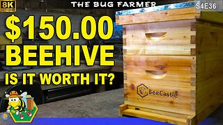 Bee Castle Beehive Kit | Become a beekeeper for $150.00 #beekeeping #bees