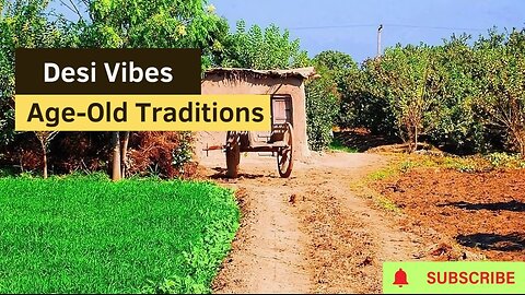 Desi Vibes: Transform Your Day with Desi Culture