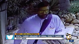 Chula Vista postal carrier arraigned on animal cruelty charges