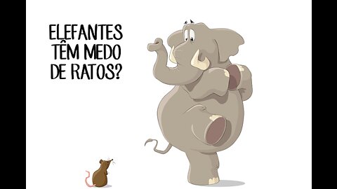 Elephant is afraid of mouse - video in Portuguese