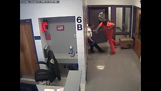 Inmate caught on video punching Hillsborough deputy in the face